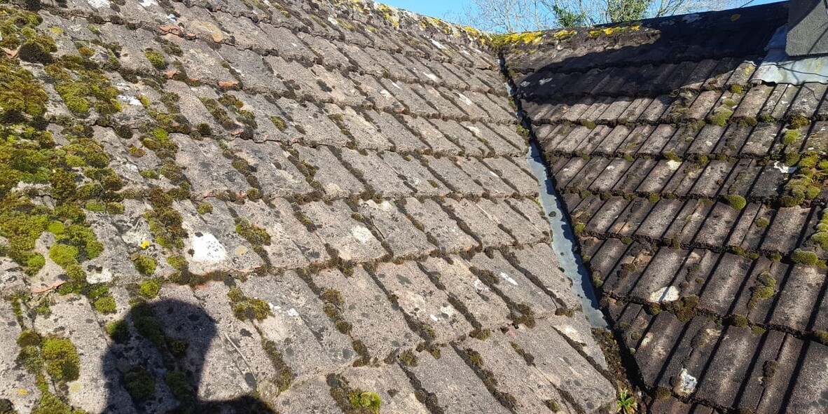 Roof Clean Before
