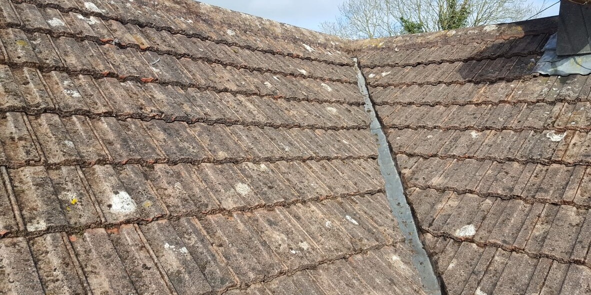 Roof Clean After