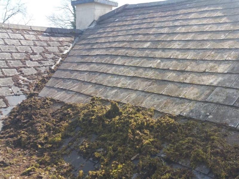 dirty roof before cleaning