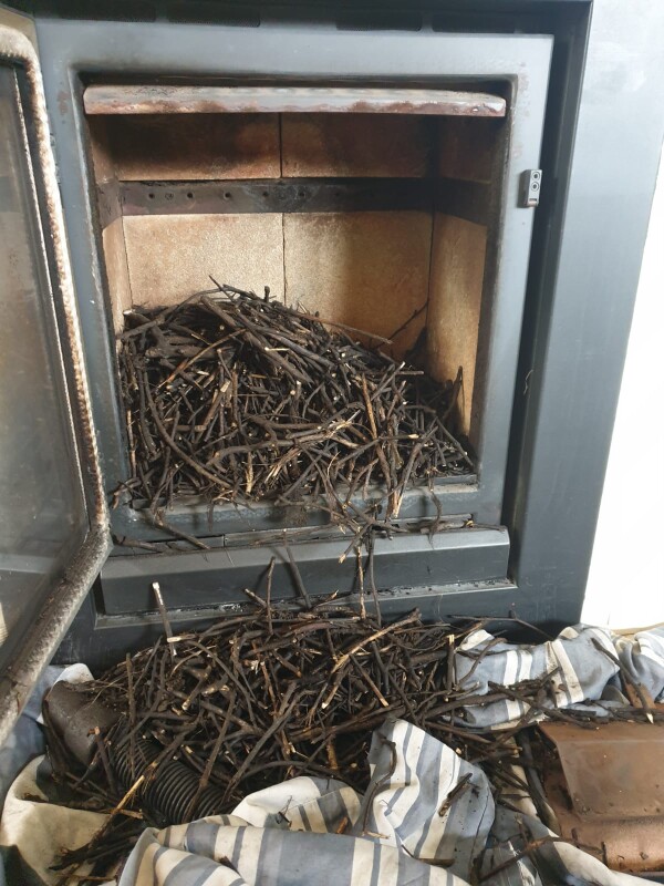 bird's nest in stove